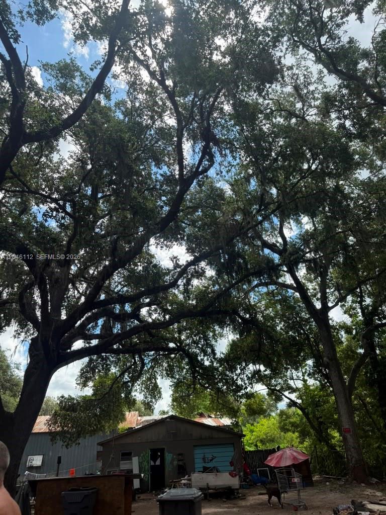 A small, weathered building sits beneath a large, sprawling oak tree in a yard — 1035 David Street Lakeland, FL 338012, FL