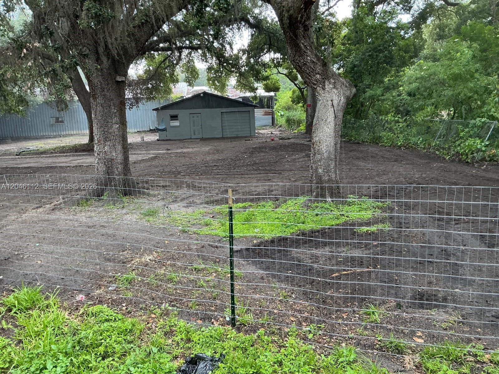 A fenced, dirt-covered lot features two large trees and a small gray detached building — 1035 David Street Lakeland, FL 338012, FL