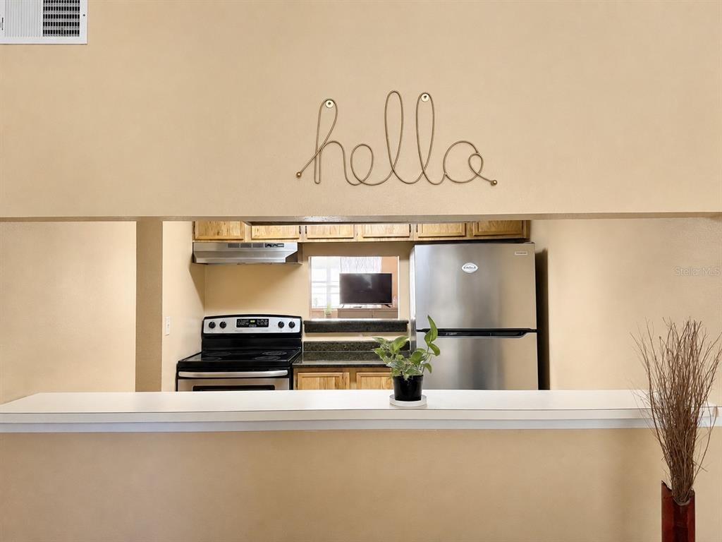 A kitchen with stainless steel appliances is viewed through a pass-through window from another room — 7011 WATERSIDE DR, TAMPA, FL