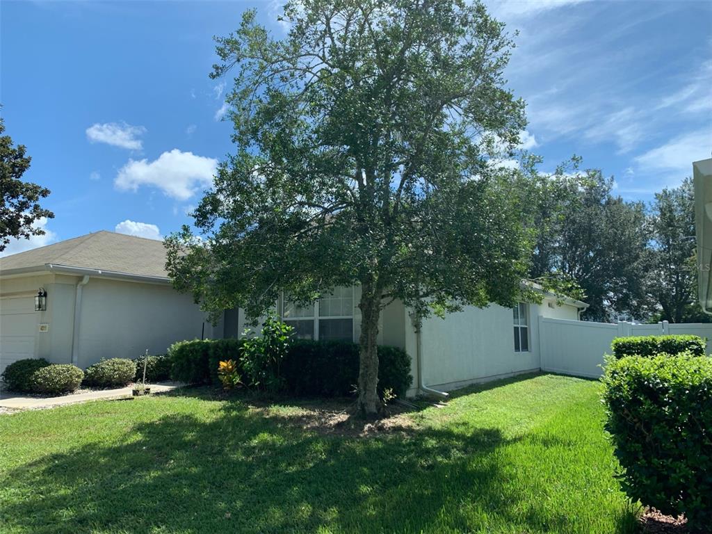 A single-story house exterior features a large tree in the front yard and white fencing — 4311 SW 53RD TERRACE, OCALA, FL