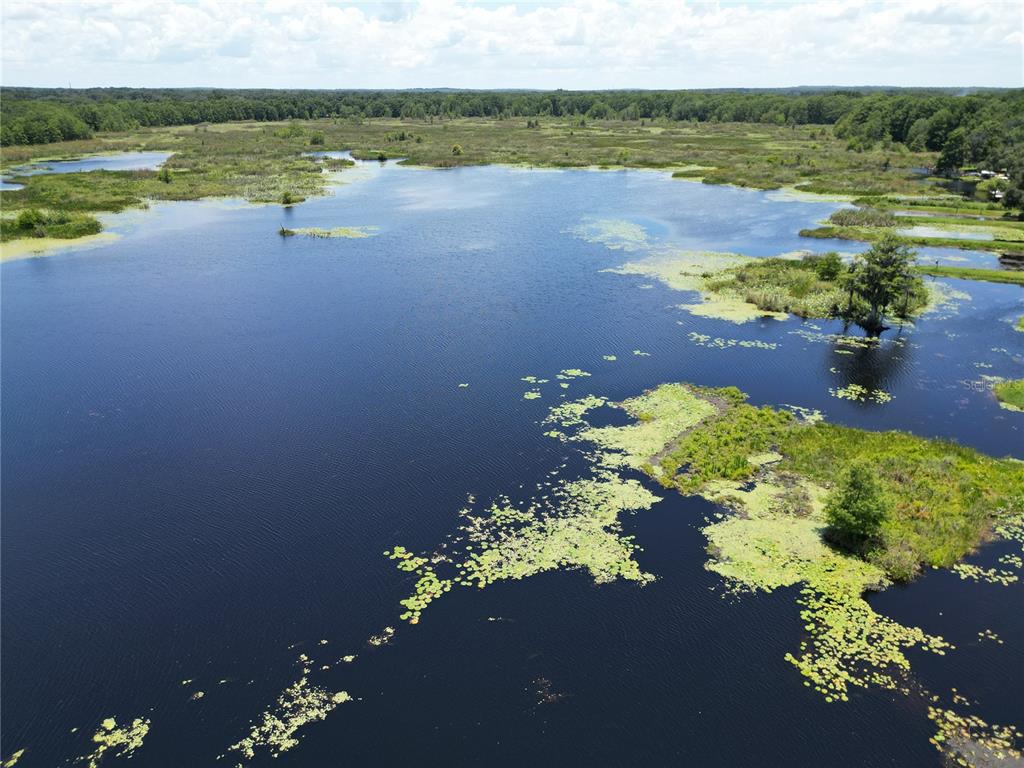 An aerial view of a lake with patches of lily pads and surrounding marshy vegetation — 8781 S LAKESHORE DRIVE, FLORAL CITY, FL