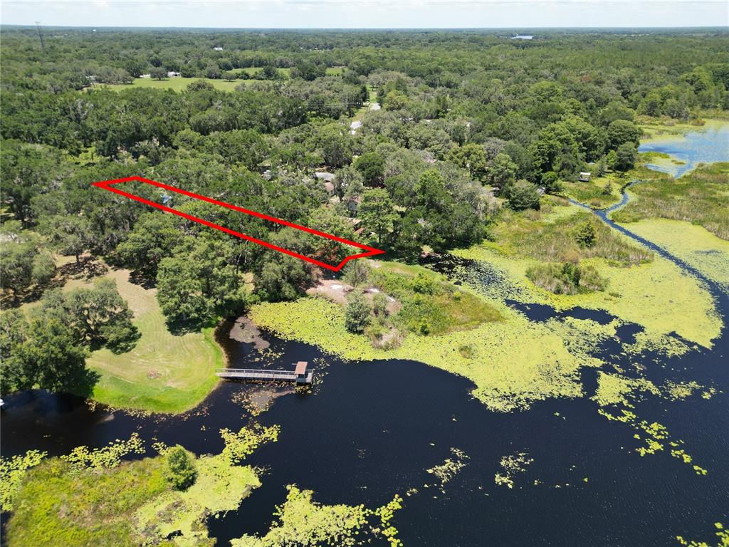An aerial view shows a wooded lot outlined in red next to a lake — 8781 S LAKESHORE DRIVE, FLORAL CITY, FL