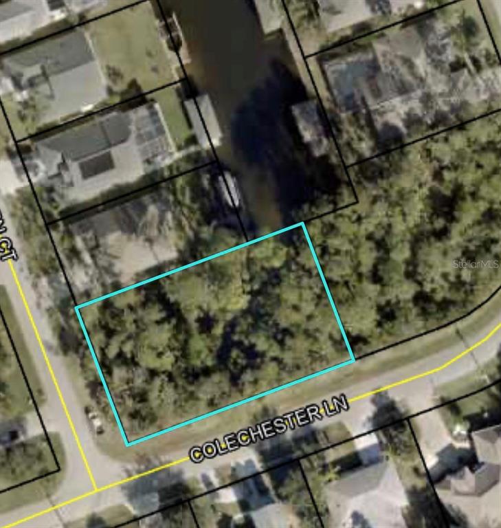 This aerial map shows a vacant, wooded residential lot outlined in blue along a canal — 43 COLECHESTER LANE, PALM COAST, FL