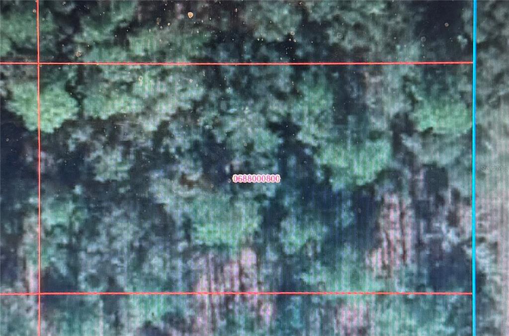 This is a satellite map view of a wooded plot of land — 0 SE 134TH TERRACE, DUNNELLON, FL