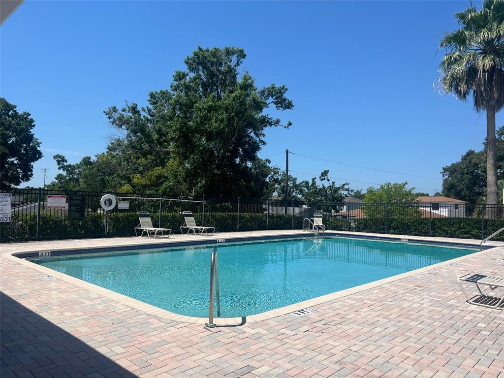 A rectangular swimming pool with a brick paver deck is enclosed by a black metal fence — 4617 ASHBURN SQUARE DRIVE, TAMPA, FL