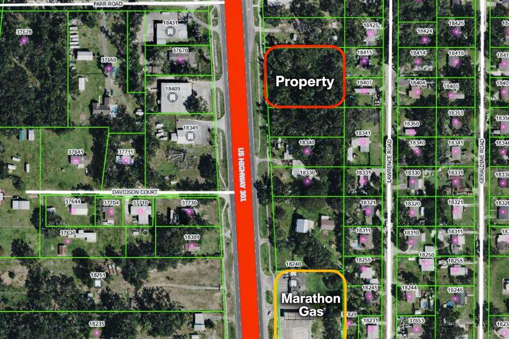This is an aerial map showing a highlighted property and a gas station along a highway — 18376 US HWY 301, DADE CITY, FL