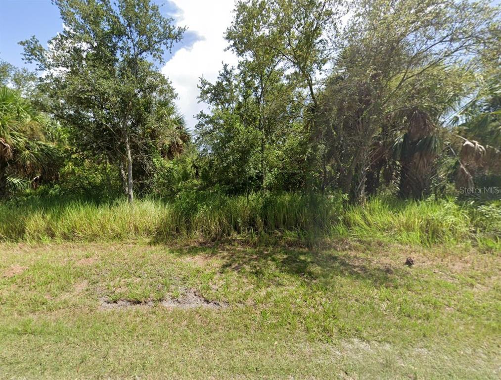 A grassy lot features dense trees and thick vegetation under a partly cloudy sky — 28255 BARSTOW DRIVE, PUNTA GORDA, FL
