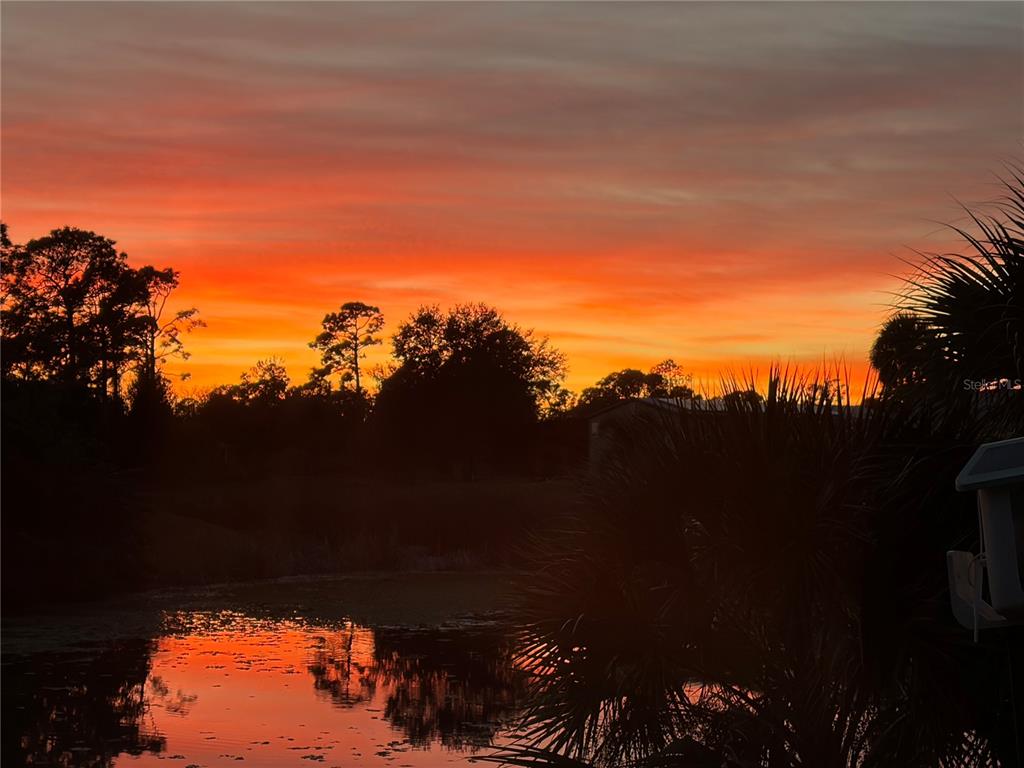 A vibrant orange sunset glows over a dark silhouette of trees and a calm pond — 1687 WISE DRIVE, NORTH PORT, FL