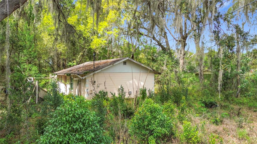 A small, light-colored house sits surrounded by dense trees and overgrown vegetation — 10160 SE 49TH COURT, BELLEVIEW, FL