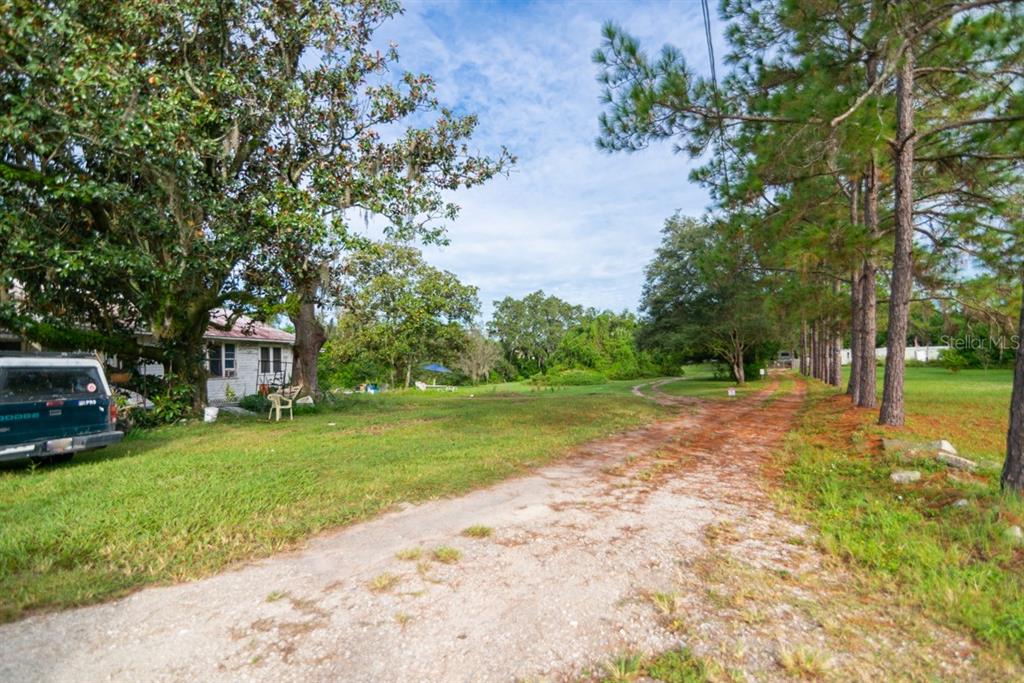 A dirt driveway leads past a house and trees toward a grassy, open field — 9358 HARNEY ROAD, THONOTOSASSA, FL