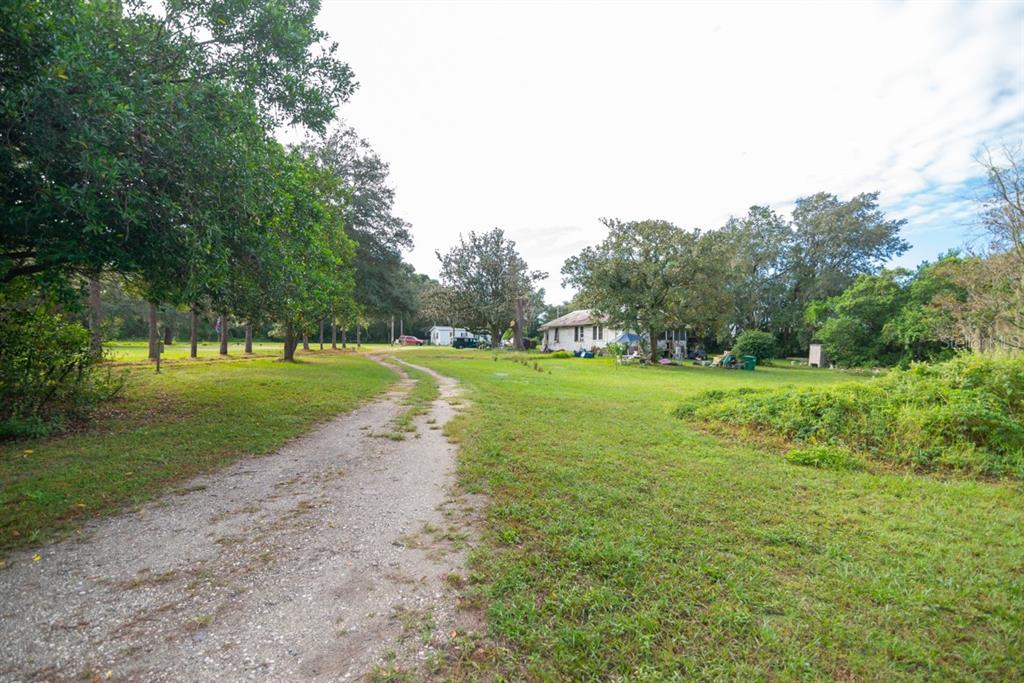 A dirt driveway leads through a grassy yard toward a house surrounded by mature trees — 9358 HARNEY ROAD, THONOTOSASSA, FL