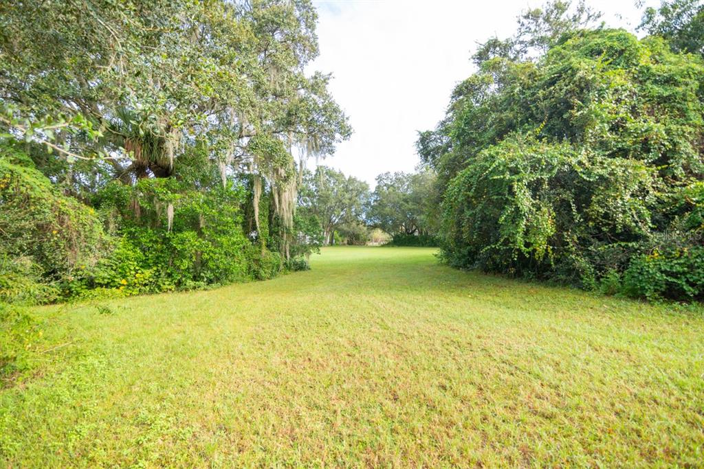 A grassy, open lot is framed by dense trees and foliage under a bright sky — 9358 HARNEY ROAD, THONOTOSASSA, FL