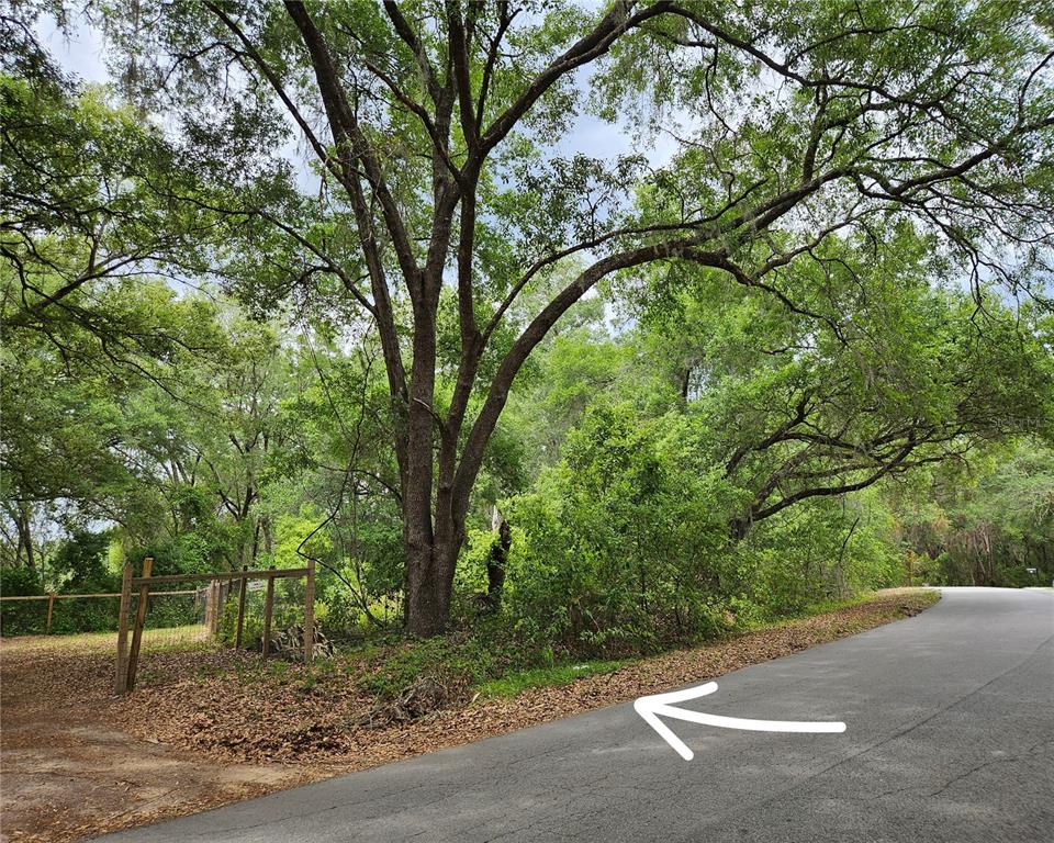 A paved road curves past a wooded lot with a wooden fence and large trees — LOT 14 LOCUST RUN COURSE, OCALA, FL