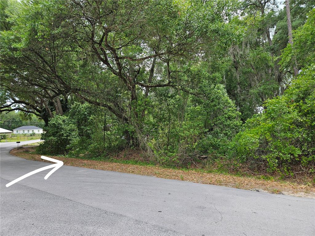 A paved road curves past a densely wooded, undeveloped residential lot with large trees — LOT 14 LOCUST RUN COURSE, OCALA, FL