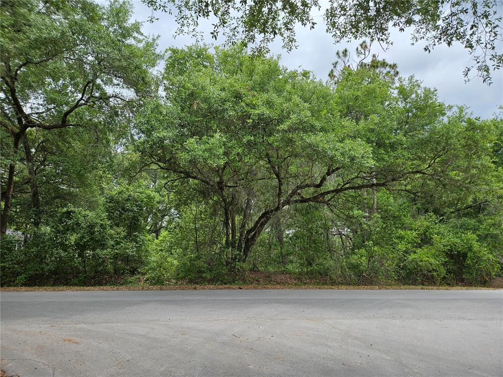 A paved road runs in front of a dense, wooded lot with mature trees — LOT 14 LOCUST RUN COURSE, OCALA, FL