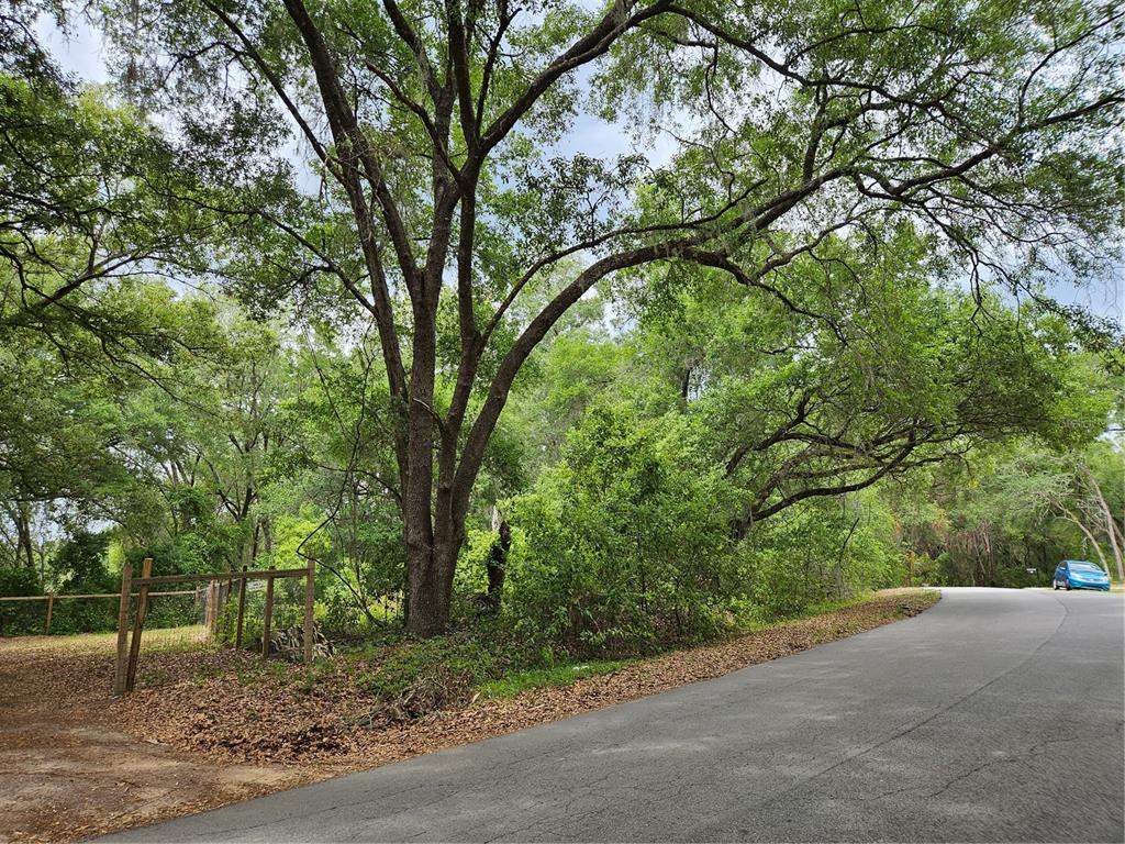 A paved road curves past a wooded lot with a wooden fence and large trees — LOT 14 LOCUST RUN COURSE, OCALA, FL