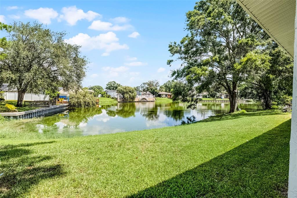 A grassy backyard overlooks a calm pond surrounded by trees and residential homes — 8208 LA SERENA DRIVE, TAMPA, FL