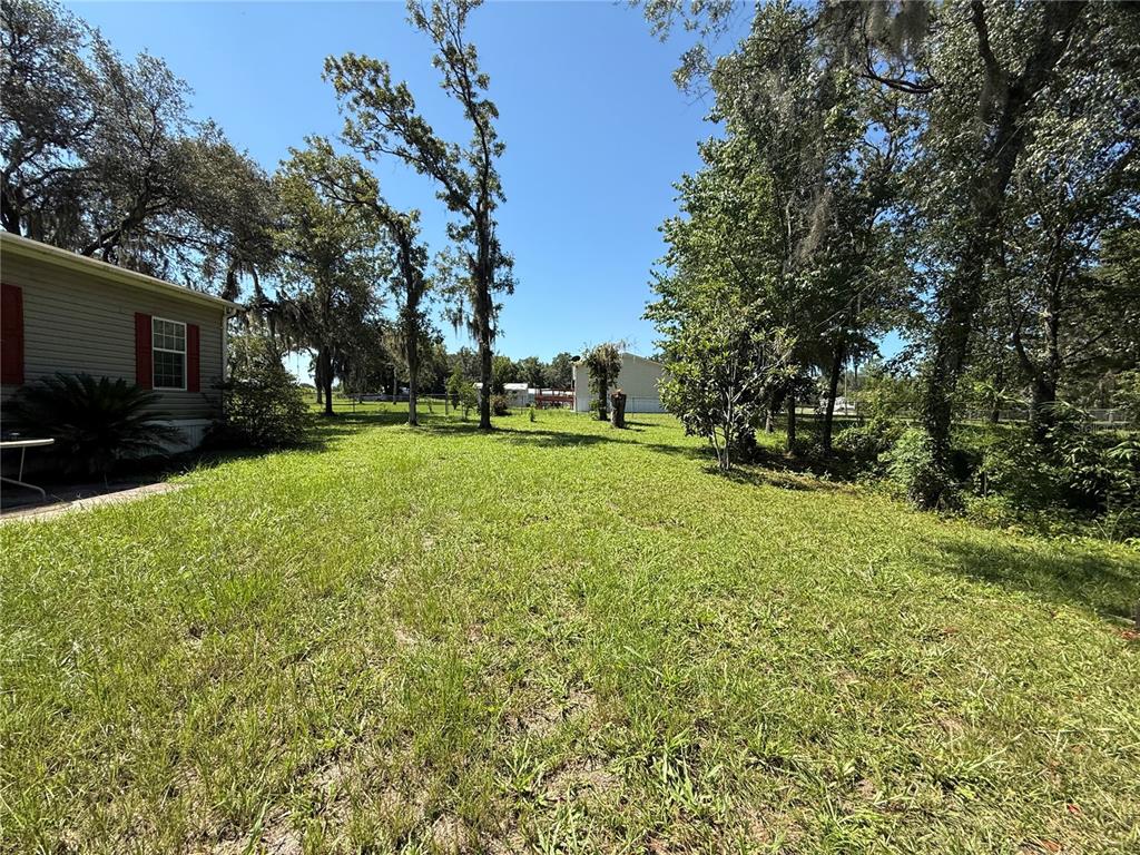 A grassy backyard extends from the side of a house toward trees and distant structures — 6555 SW 165TH COURT, OCALA, FL