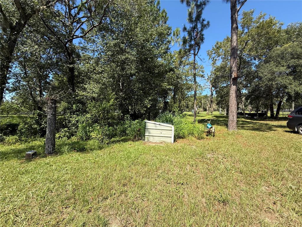 A grassy backyard features a small storage shed, mature trees, and a parked vehicle — 6555 SW 165TH COURT, OCALA, FL
