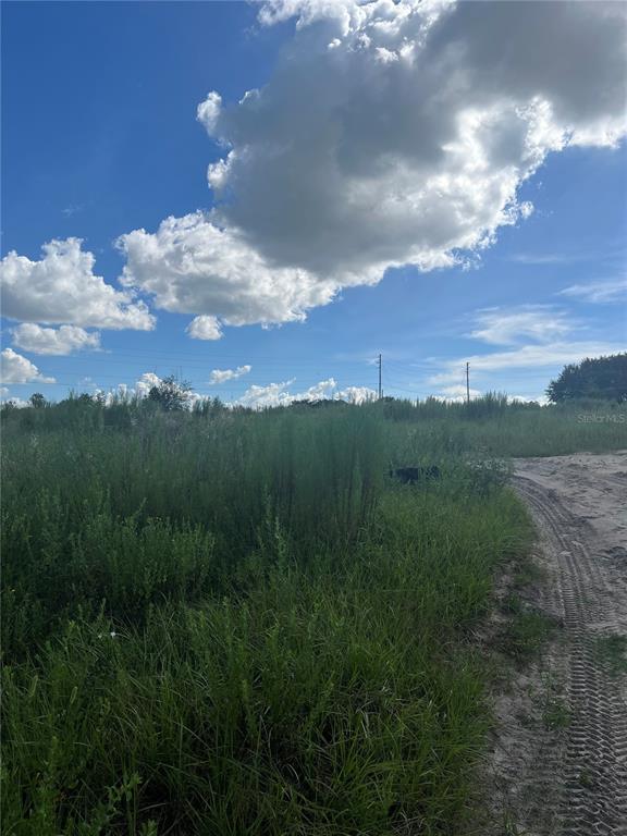 A dirt path runs along a grassy, undeveloped lot under a bright, cloudy blue sky — W KELLY PARK ROAD, APOPKA, FL