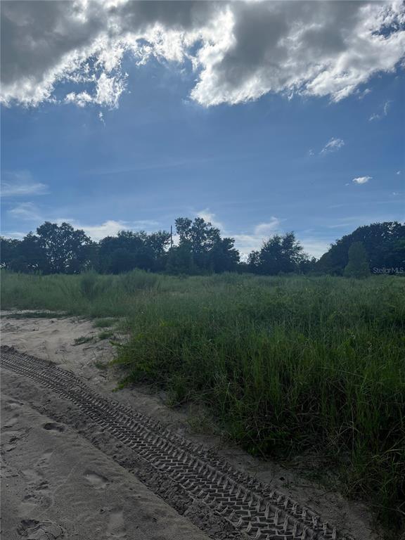 A dirt path with tire tracks leads through a grassy, undeveloped lot under a cloudy sky — W KELLY PARK ROAD, APOPKA, FL