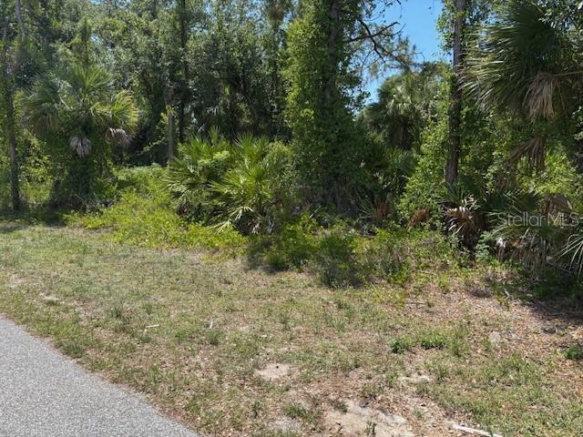 A vacant, wooded lot with dense vegetation and palm trees borders a paved road — 18431 FREMONT AVENUE, PORT CHARLOTTE, FL