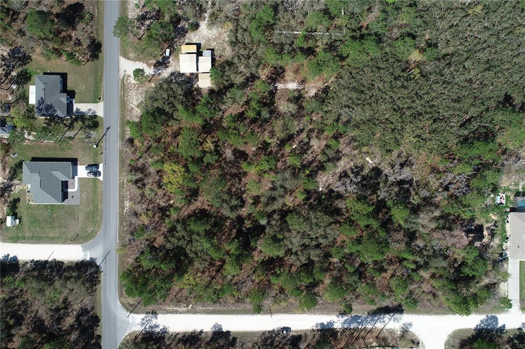 An aerial view shows a wooded, undeveloped rectangular lot situated between two residential streets — WOOD OWL AVE AND MALIBAR RD, WEEKI WACHEE, FL