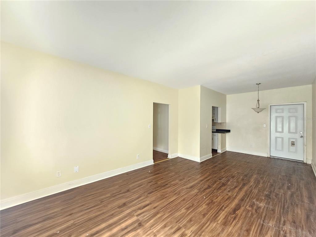An empty living room features wood-look flooring, light-colored walls, a doorway, and an exterior door — 7611 PAULA DRIVE UNIT 5, TAMPA, FL