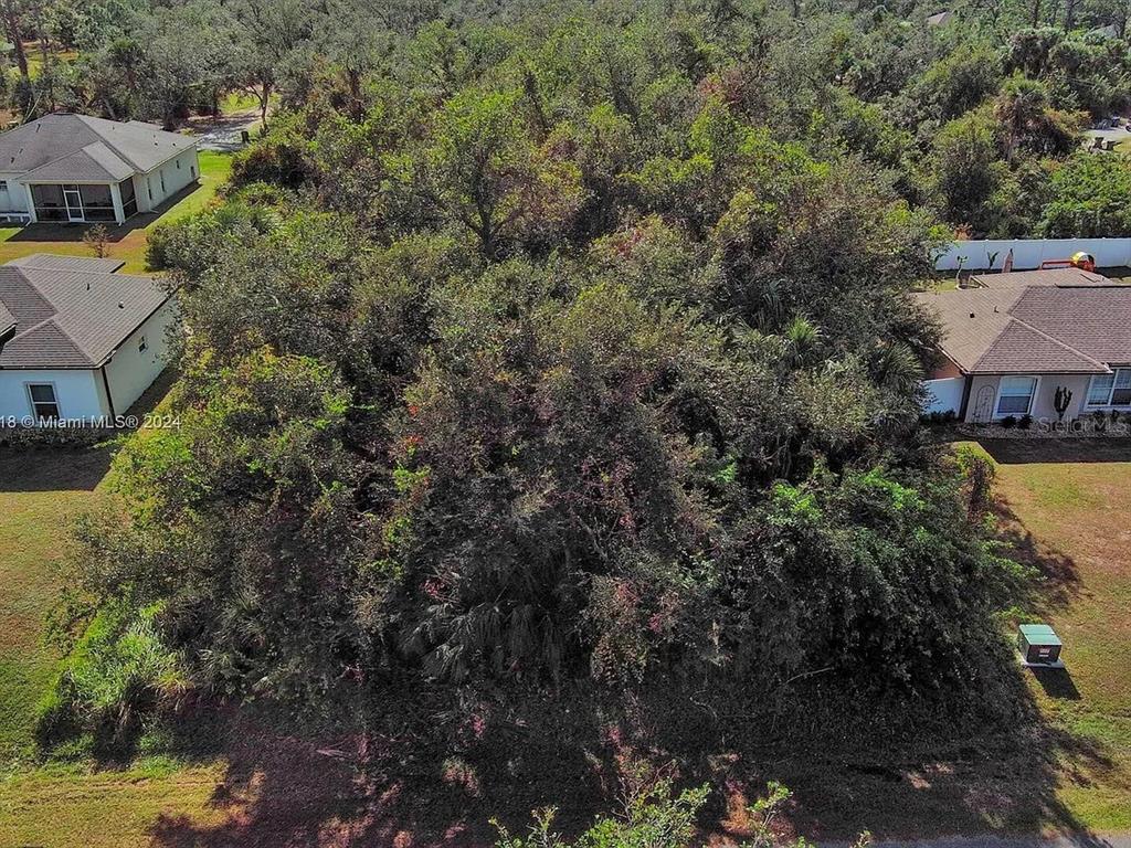 An aerial view shows a heavily wooded vacant lot situated between two residential houses — SARGON AVENUE, NORTH PORT, FL