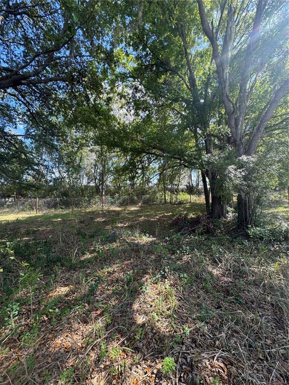 0 DENMARK STREET, BARTOW, FL — photo 4 of 6