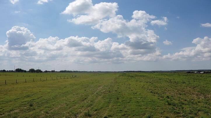 A wide, grassy field under a blue sky with scattered white clouds — 3859 NE 144th Street, Okeechobee FL 34972, OKEECHOBEE, FL
