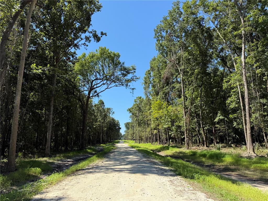 DR #8 (10ac) NW 193RD ST, MICANOPY, FL — photo 2 of 10