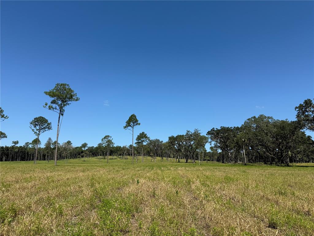 DR #8 (10ac) NW 193RD ST, MICANOPY, FL — photo 4 of 10