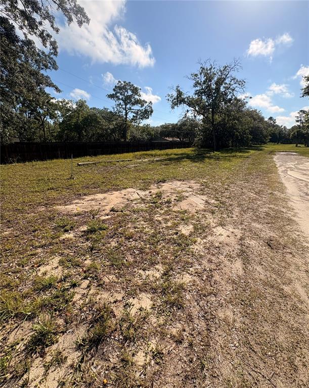 A vacant, grassy, and sandy lot features scattered trees and a wooden fence in back — 8999 S SUNCOAST BOULEVARD, HOMOSASSA, FL