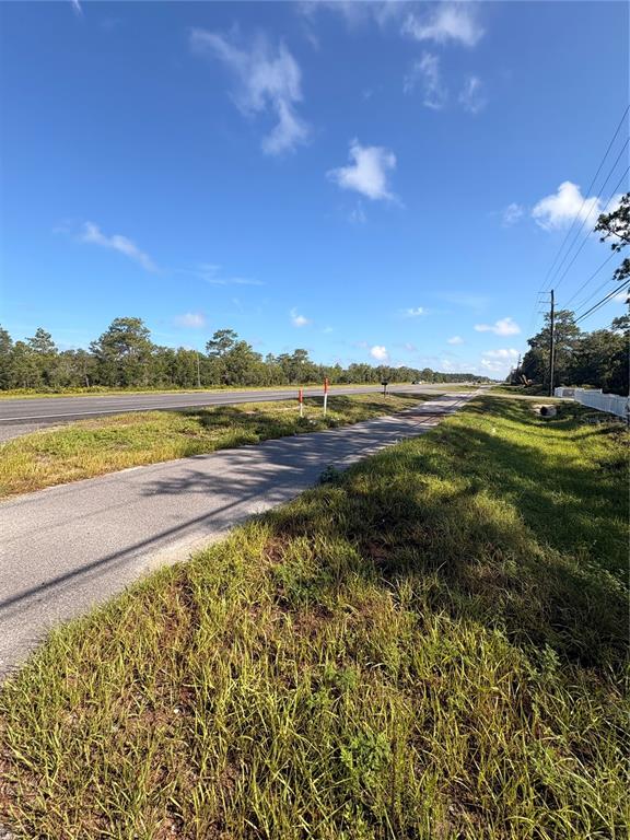 A paved road runs alongside a grassy shoulder under a clear blue sky — 8999 S SUNCOAST BOULEVARD, HOMOSASSA, FL