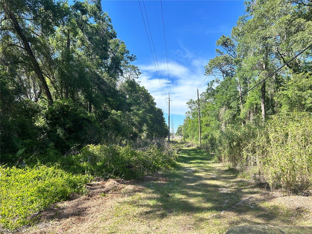 A dirt path runs between dense trees under power lines on a sunny day — 9319 S FLORIDA AVENUE, FLORAL CITY, FL