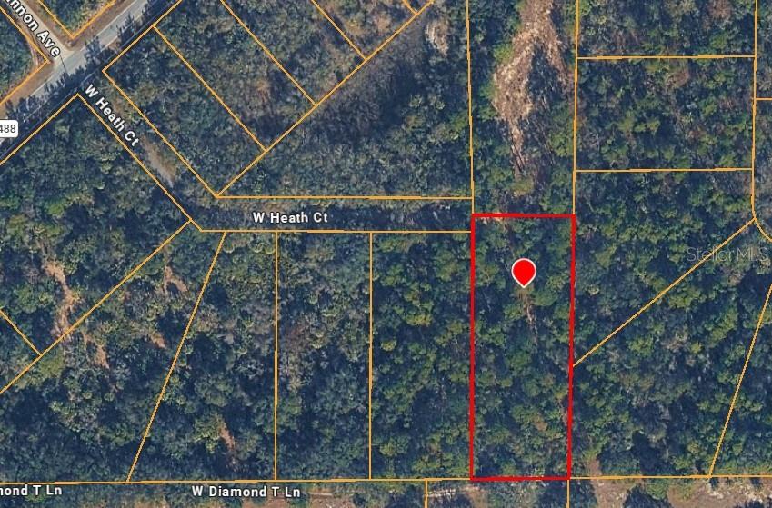 This is an aerial map view of a rectangular, wooded vacant lot — 10772 WEST HEATH COURT, CRYSTAL RIVER, FL