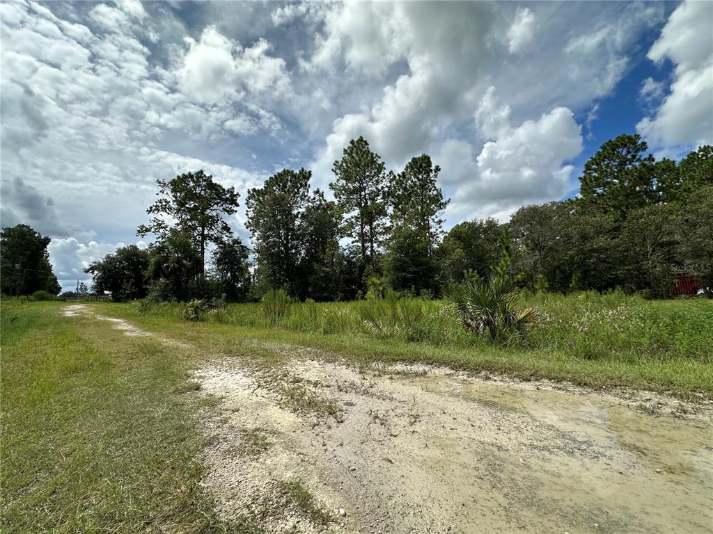 A dirt road leads toward a grassy field bordered by a line of tall trees — TBD SE 130TH COURT, DUNNELLON, FL