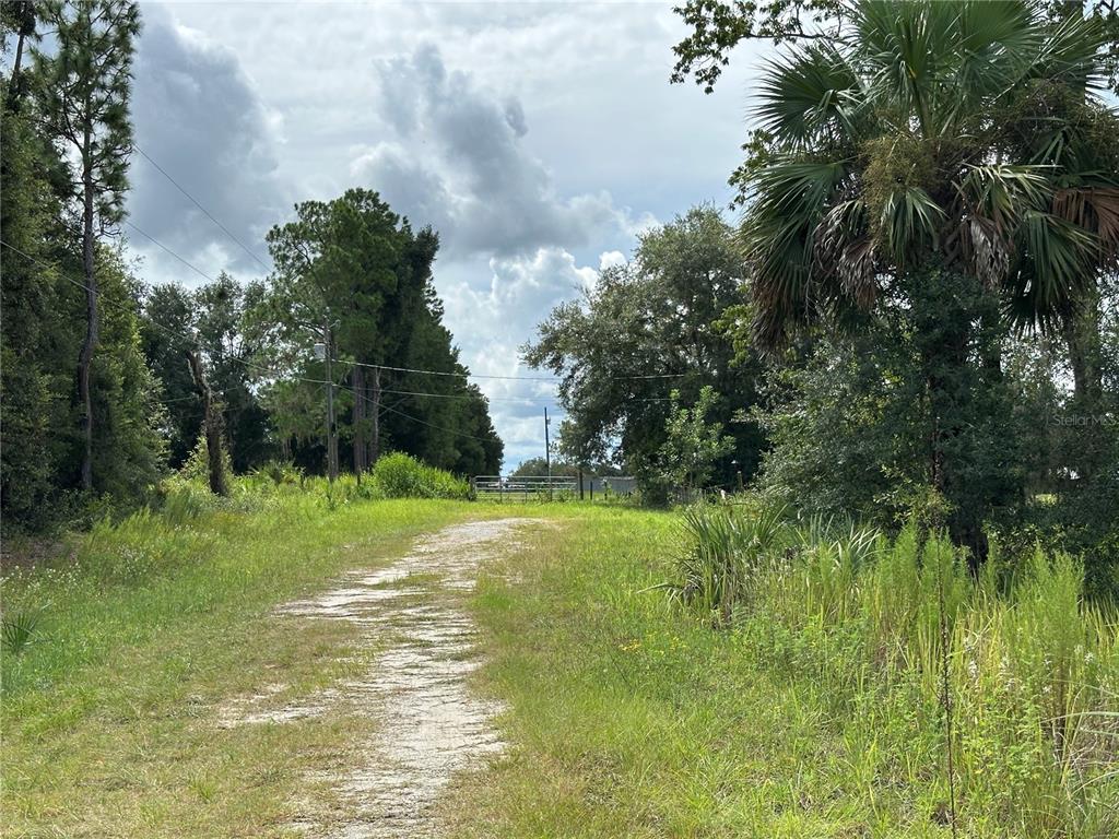 A dirt path leads through a grassy field toward a metal gate and trees — TBD SE 130TH COURT, DUNNELLON, FL