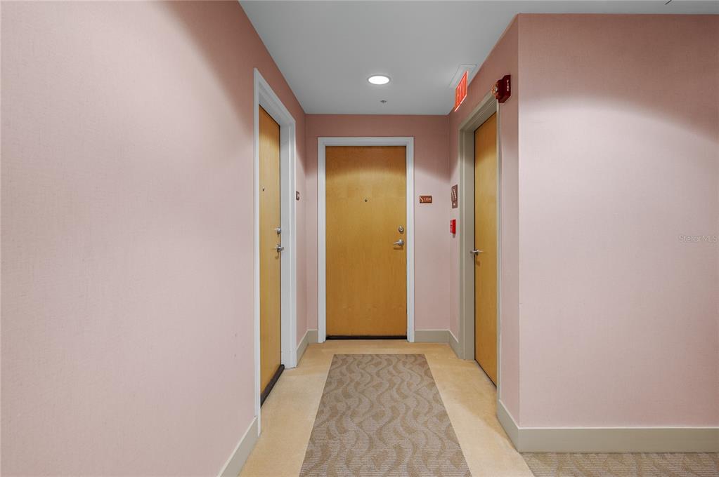 A hallway features light pink walls, a patterned carpet runner, and three wooden doors — 155 S COURT AVENUE UNIT 1104, ORLANDO, FL