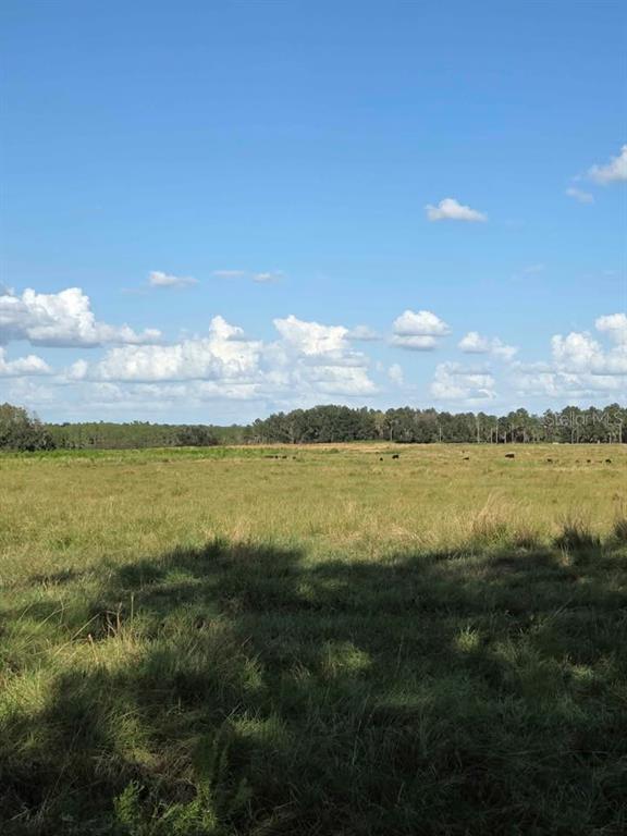 A wide, grassy pasture stretches toward a distant tree line under a blue, cloudy sky — 1400 ROBINSON CIRCLE UNIT 111, FORT MEADE, FL