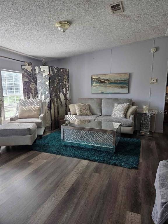 A living room features gray walls, wood-look flooring, a teal rug, and mirrored furniture — 1400 ROBINSON CIRCLE UNIT 111, FORT MEADE, FL