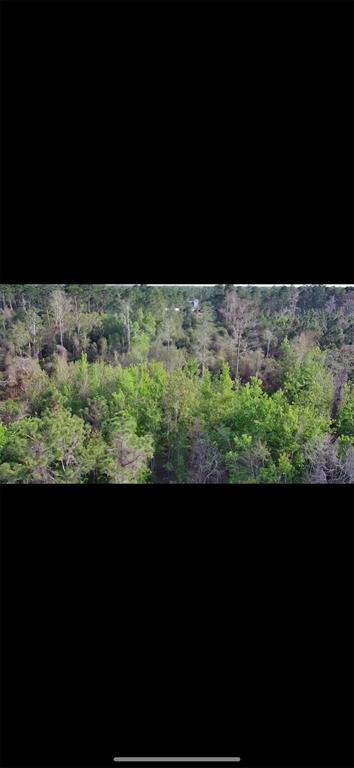 An aerial view shows a dense forest with a small building visible in the distance — 4150 QUAIL NEST LANE, NEW SMYRNA BEACH, FL