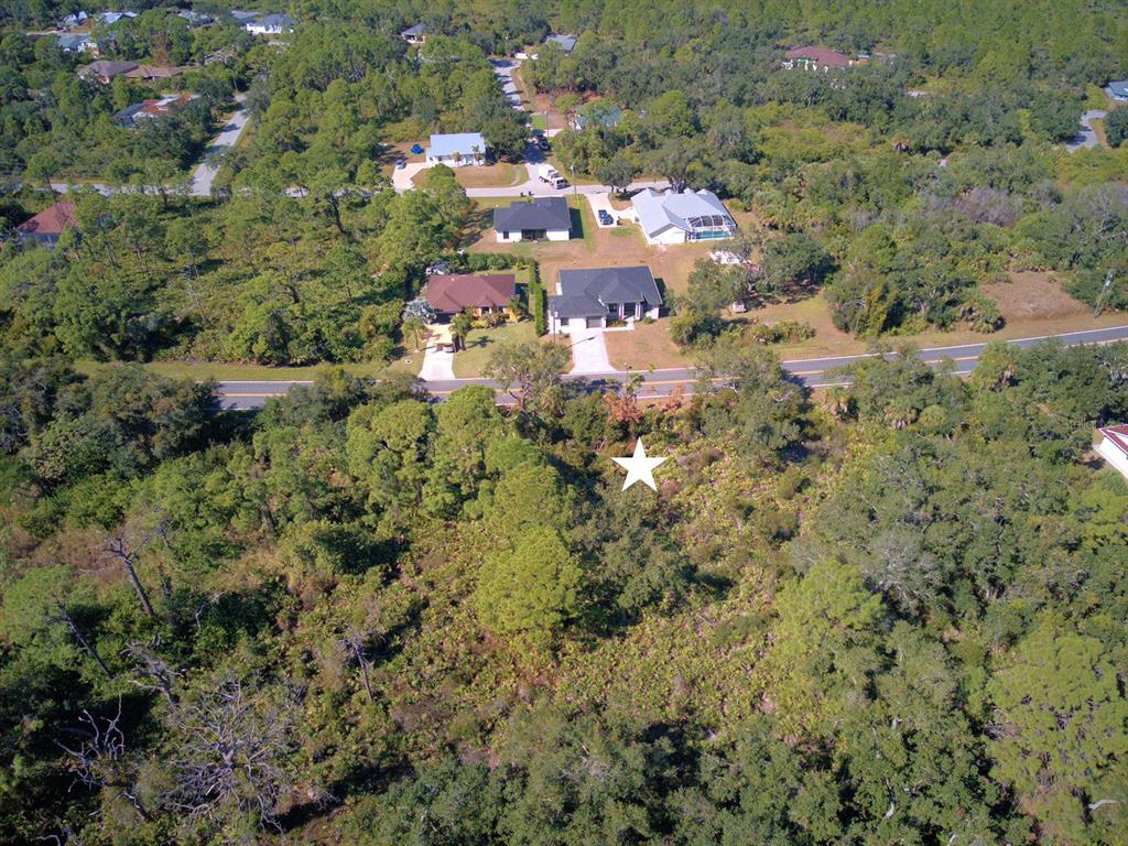 An aerial view shows a vacant, wooded lot marked with a star across from houses — DE LEON DRIVE, NORTH PORT, FL