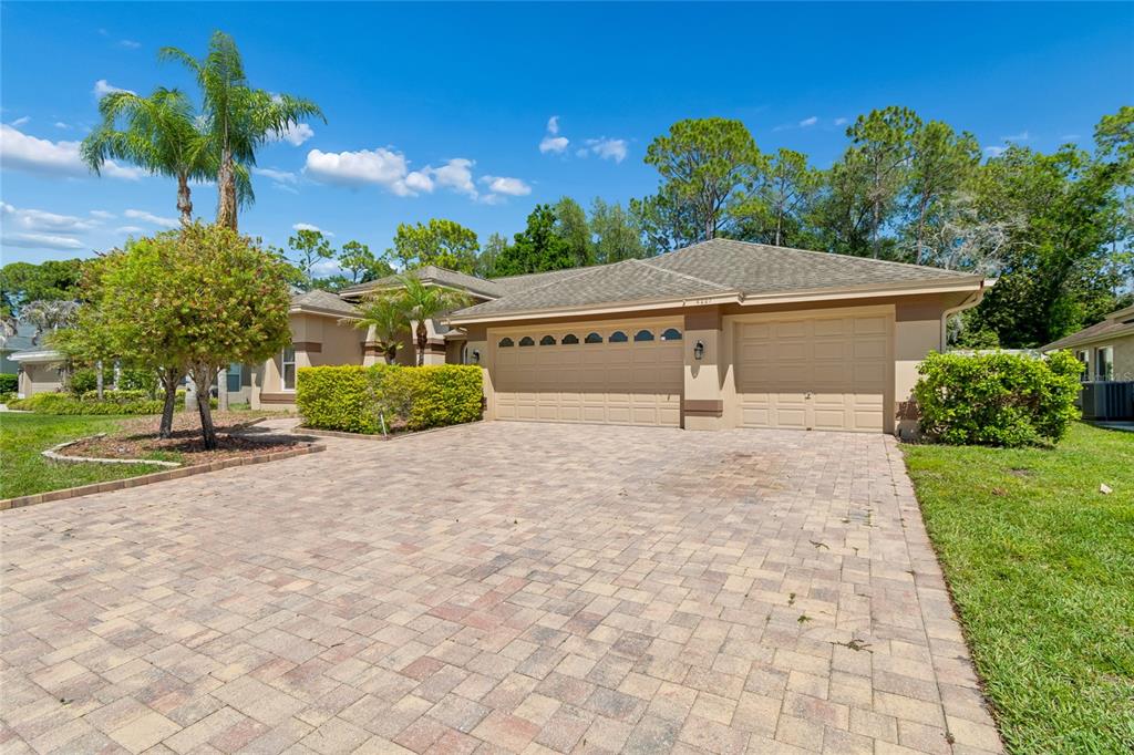 A single-story house with a paved driveway, two-car garage, and landscaping under a blue sky — 4227 AUSTON WAY, PALM HARBOR, FL