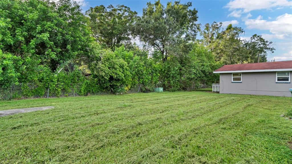 A grassy backyard features a chain-link fence, mature trees, and the side of a house — 5526 59TH WAY N UNIT 1, ST PETERSBURG, FL