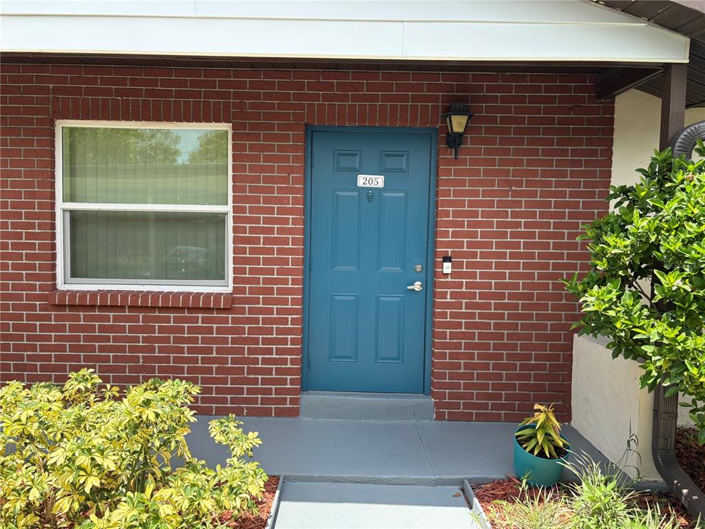 A blue front door with the number 205 is set into a red brick exterior wall — 24862 US HIGHWAY 19 N UNIT 205, CLEARWATER, FL