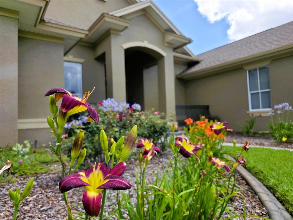 A close-up of purple and yellow daylilies in front of a tan suburban house — 5629 HILLSIDE LANDINGS ROAD, LAKELAND, FL