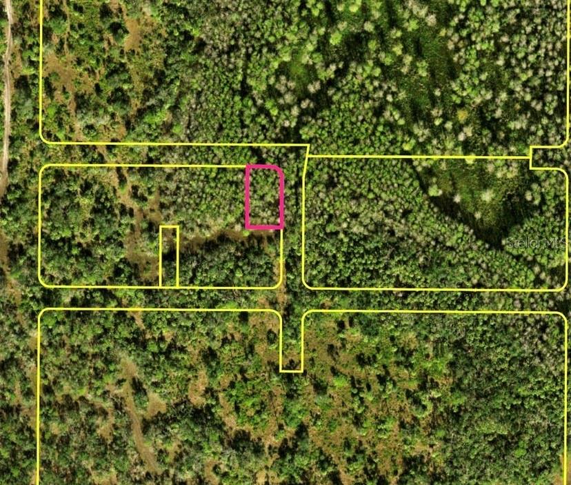 This is an aerial map showing a highlighted rectangular property lot surrounded by dense forest — BERMONT RD & 31, PUNTA GORDA, FL