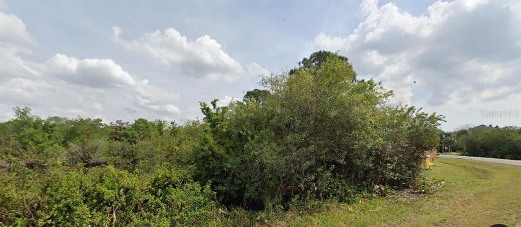 This image shows a vacant, overgrown lot with dense vegetation and trees next to a road — 3078 NW 39TH AVENUE, OKEECHOBEE, FL